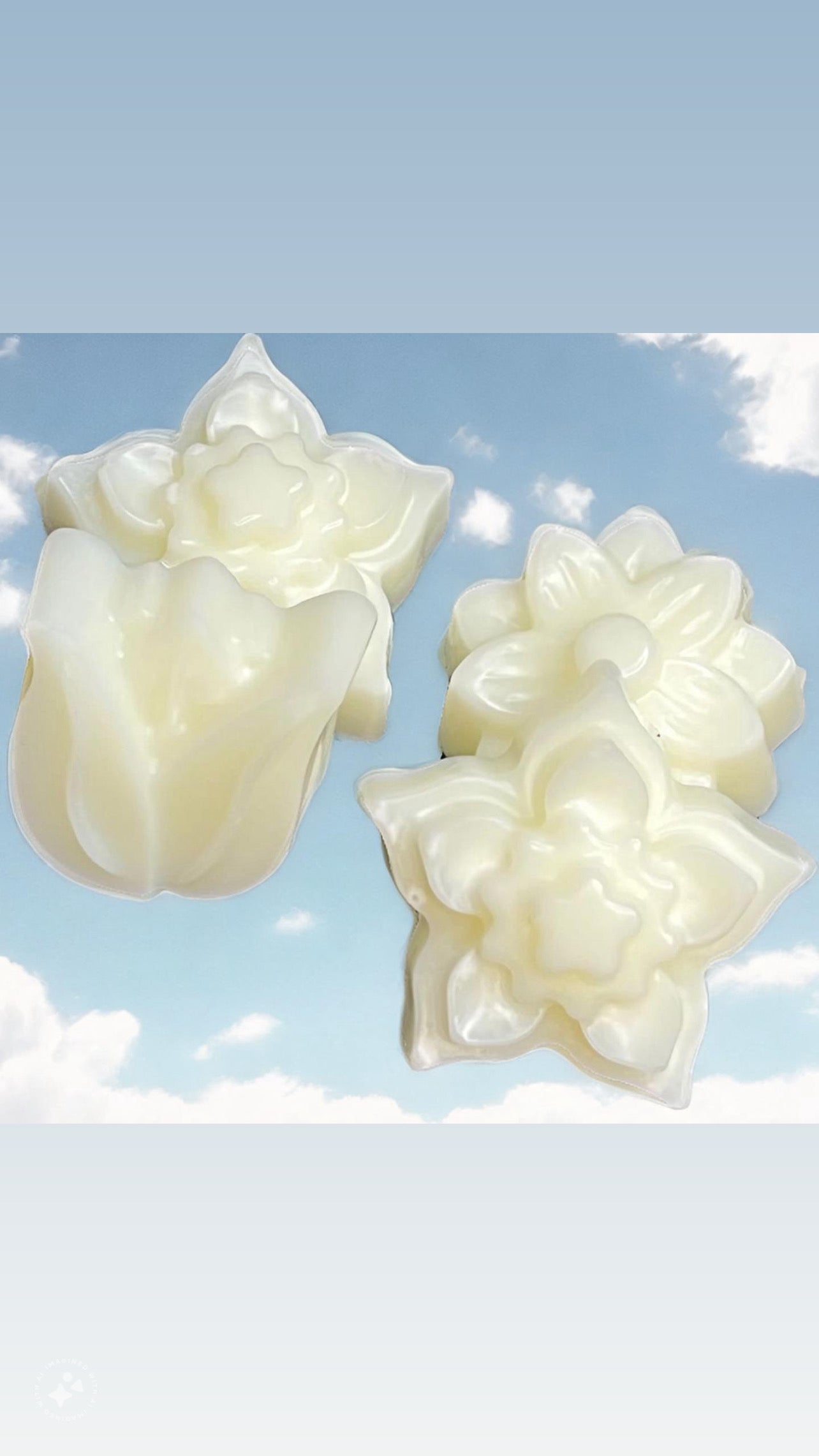 Spring & Summer Wax Melts